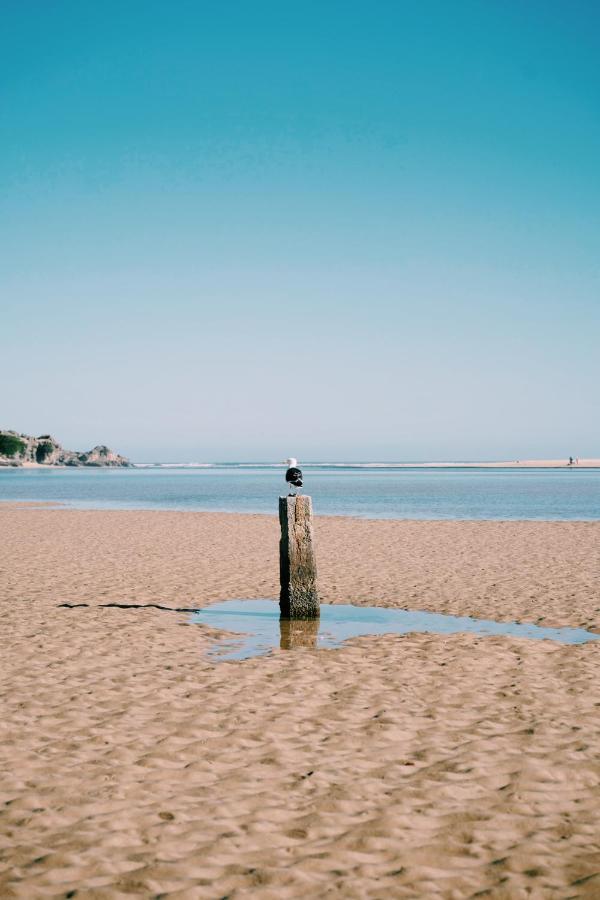 The Oyster Box Beach House By The Oyster Collection Kenton on Sea Exteriör bild